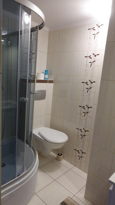 Pokoje Goscinne Lesny Zakatek Kepiaste Esterno foto